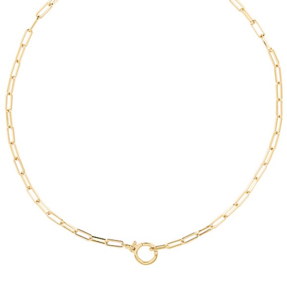 SOLD DO NOT PURCHASE Gorjana Gold Chain Necklace - Picture 3 of 3